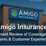 amigo insurance​